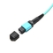 OM3 MTP Mpo Fiber Kablo, Hızlı Ethernet ile Uyumlu PVC LSZH Mpo Yama Kablosu